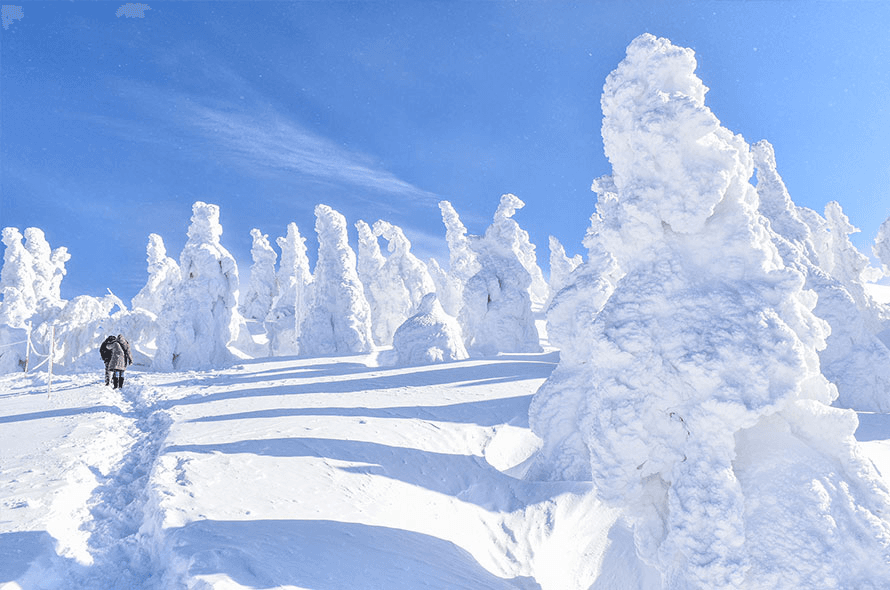 Jeunesse Kurikoma ski resort