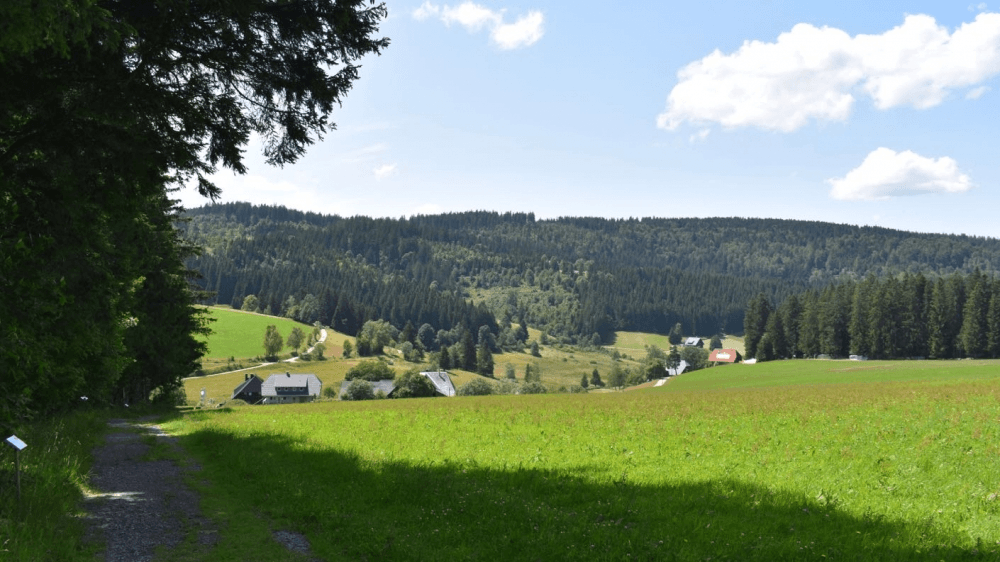 Gaistal/​Talwiese – Bad Herrenalb ski resort