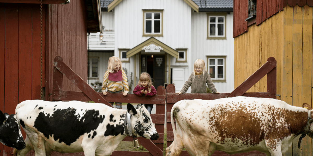 Savalen ski resort