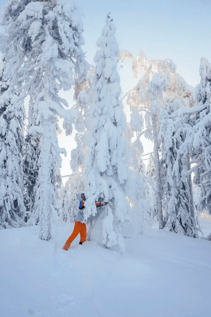 Vuokatti ski resort