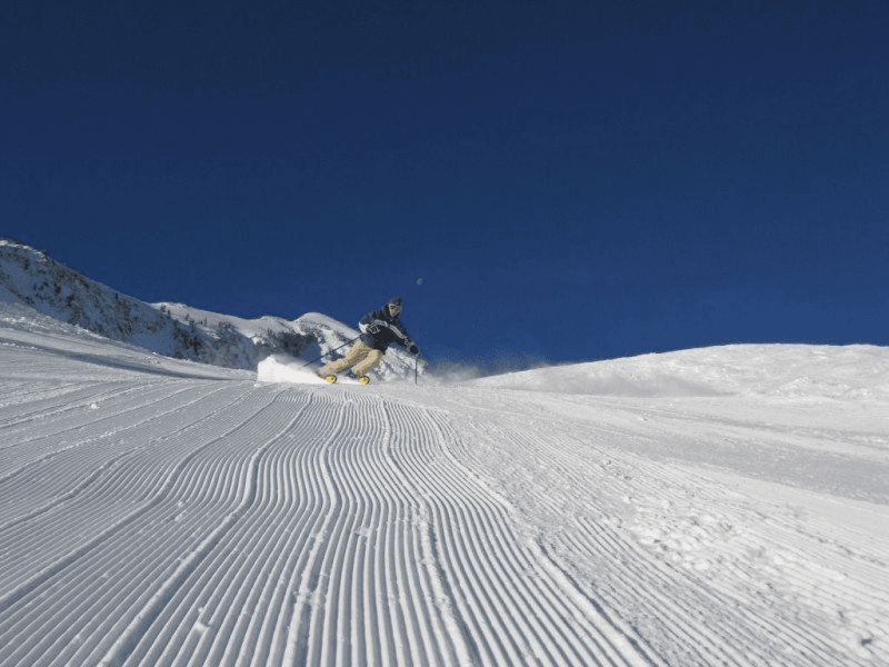 Snowbird ski resort
