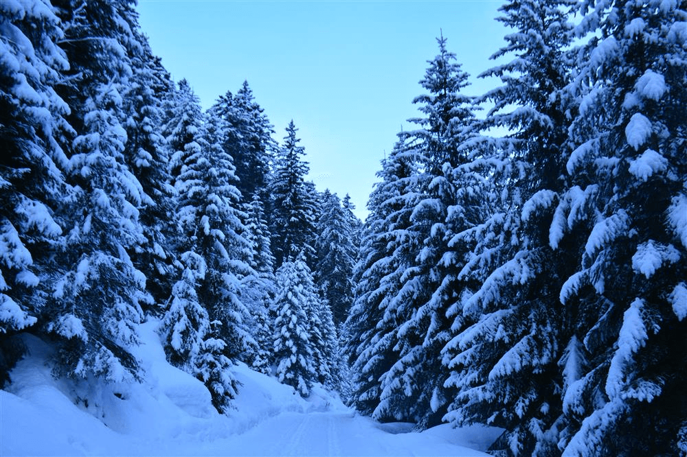 Pescegallo – Valgerola ski resort