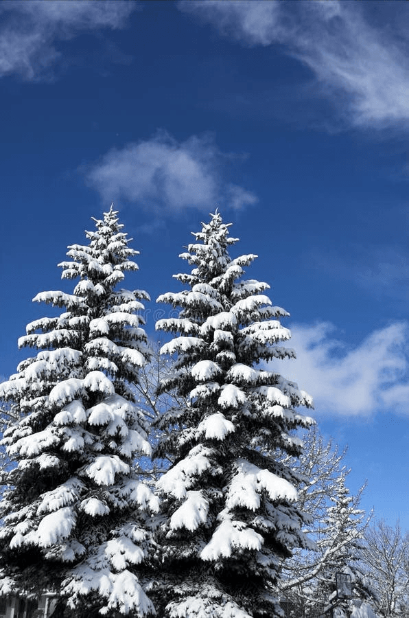 Grong ski resort