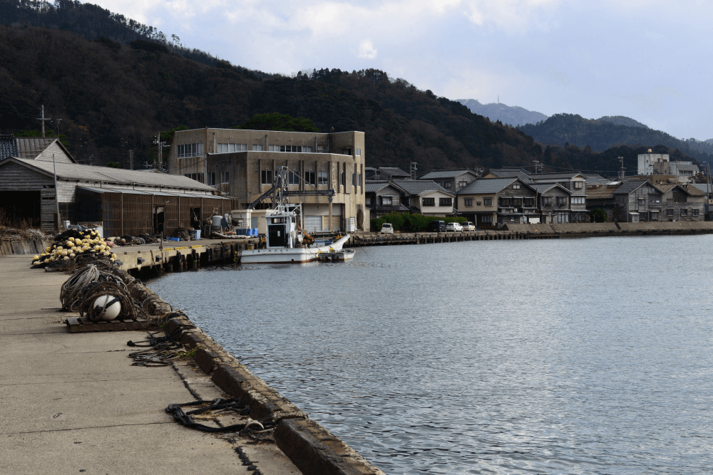 Kowloon Bay ski resort