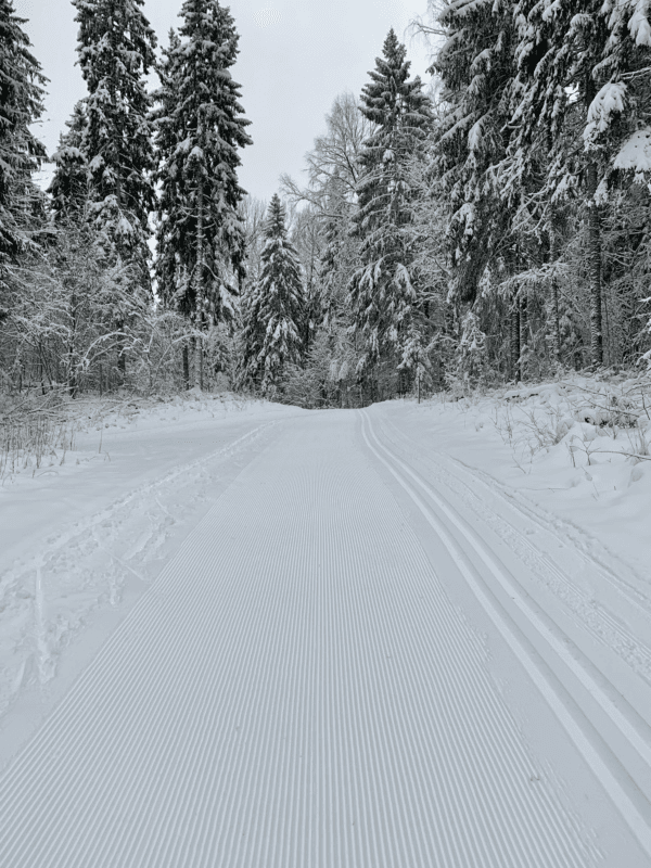 Valgehobusemäe ski resort