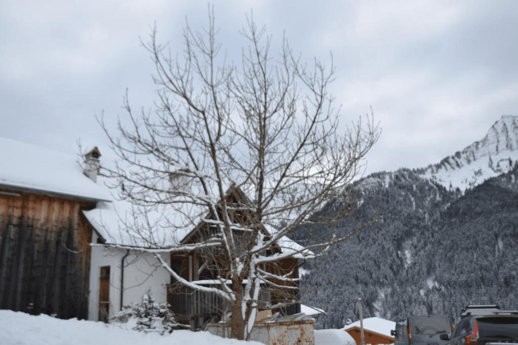 Tschardund – Nenzing ski resort