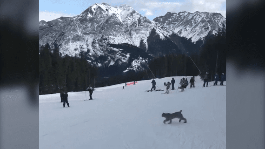 Nakiska ski resort
