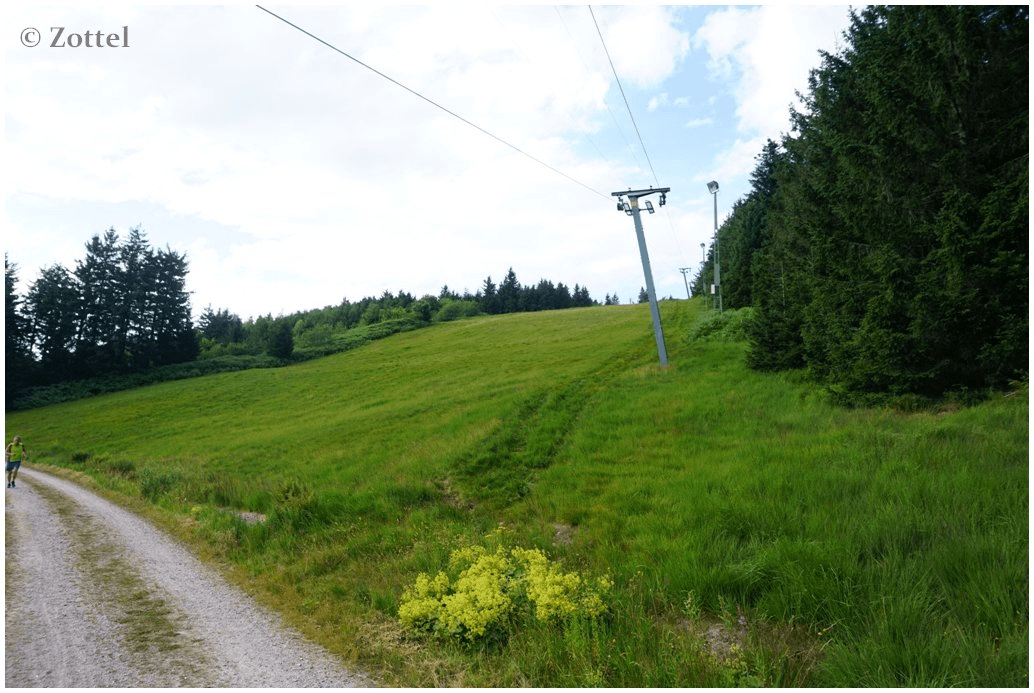 Langmattlift – Aftersteg (Todtnau) ski resort