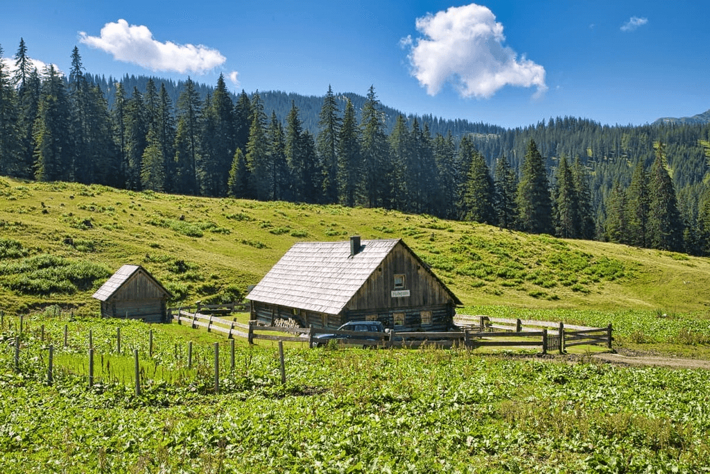 Forsteralm ski resort