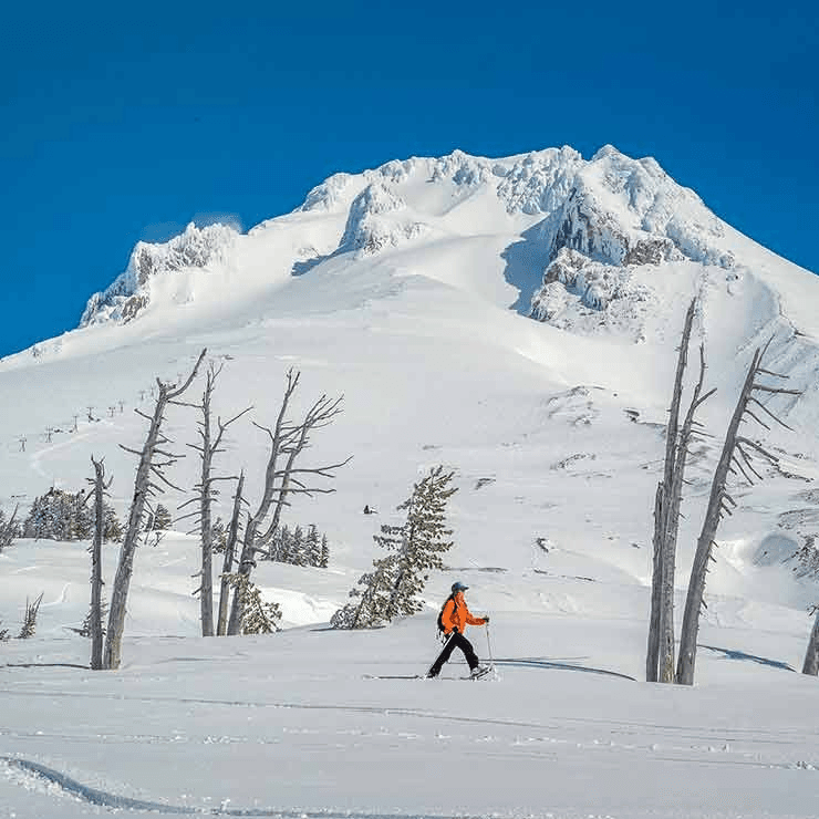 Canyon Ski Area ski resort