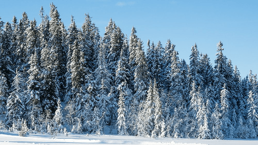 Hultagärdsbacken – Torup ski resort