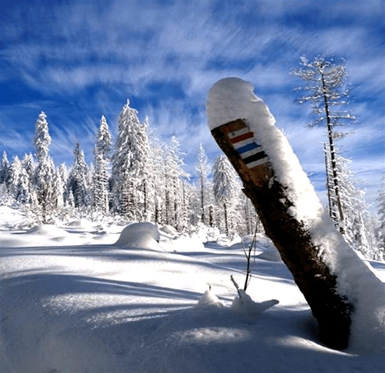 Jastrzębica – Przyłęków ski resort