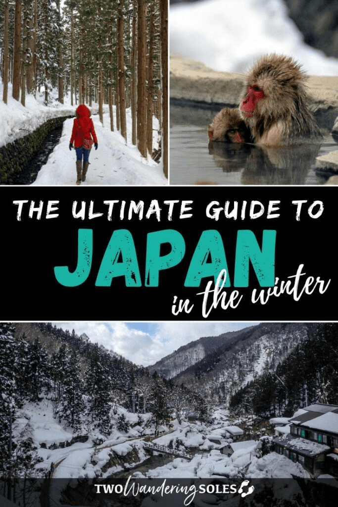 Mt. Fuji – Hakone ski resort