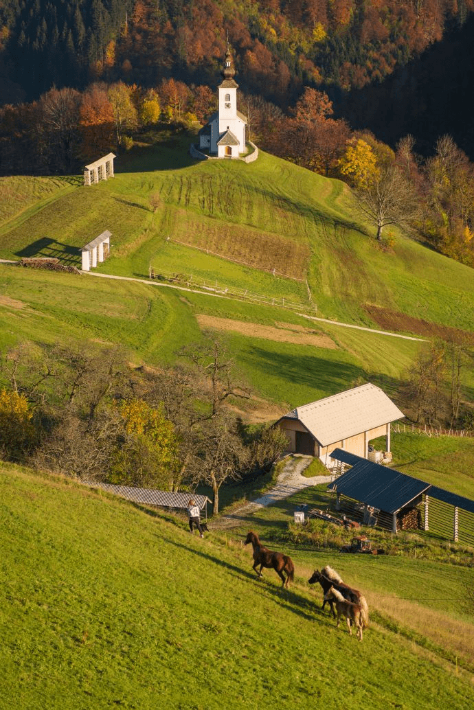 Ledinica (Žiri) ski resort