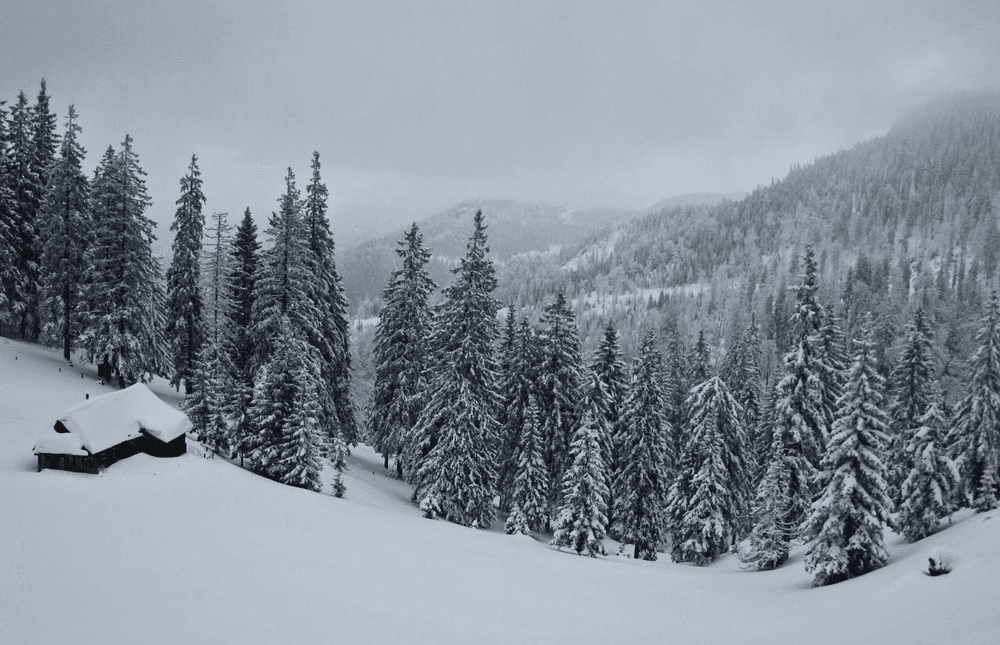 Vasilitsa ski resort