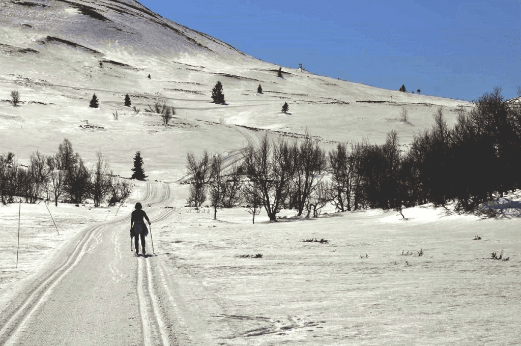 Suche ski resort