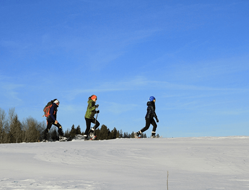 Le Larmont ski resort