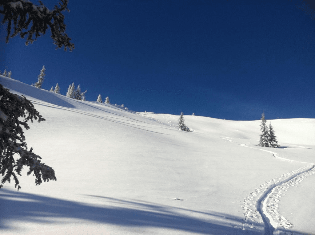 Buchsteinlift – Reiflingviertel (St. Gallen) ski resort