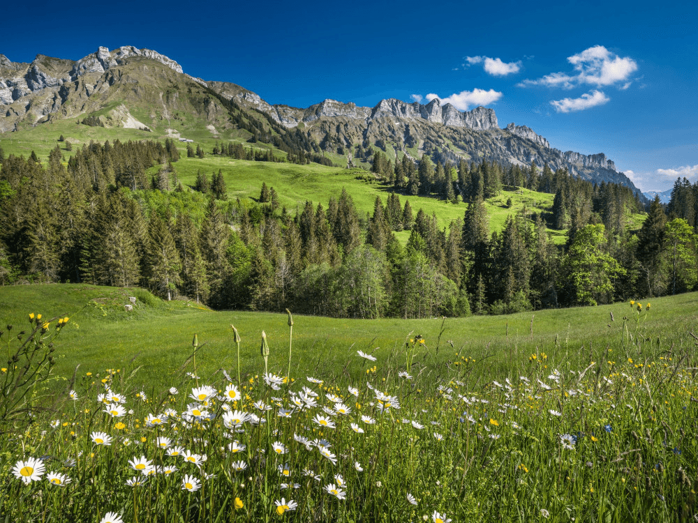 Gfellen – Entlebuch-Finsterwald ski resort