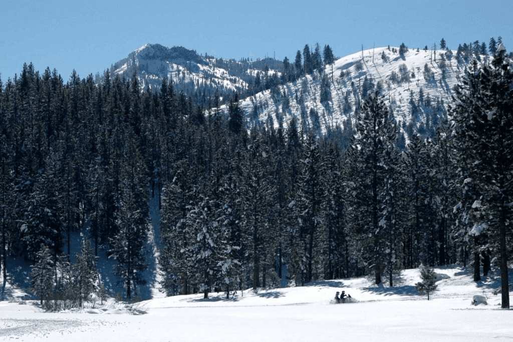 Great Northern Snow Cat – Trout Lake ski resort