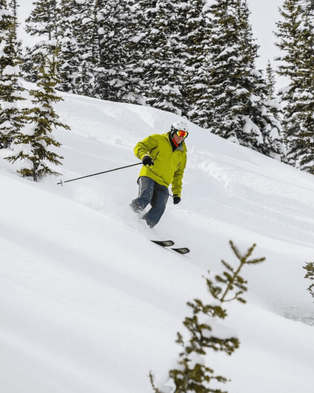 Powderbird ski resort
