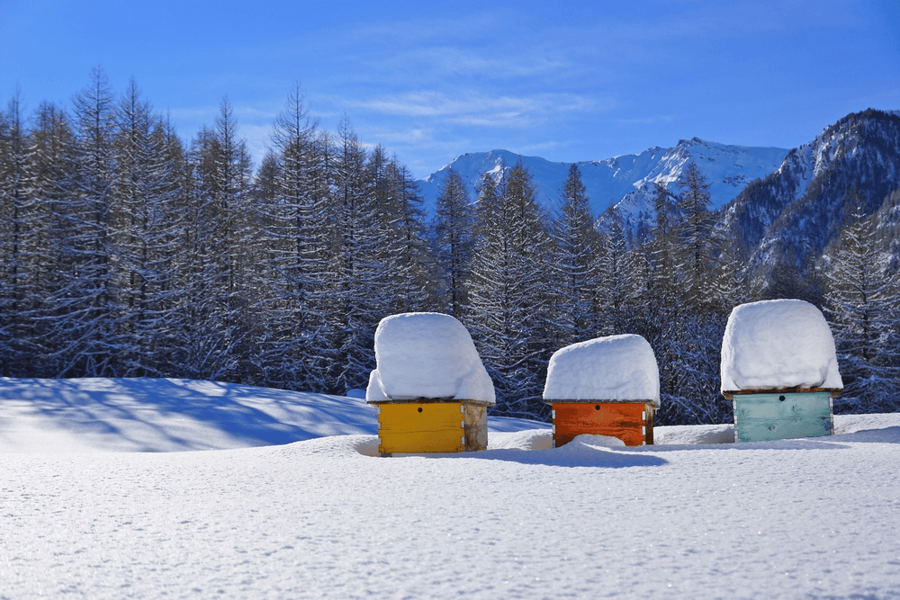 Molines-en-Queyras/​Saint-Véran ski resort
