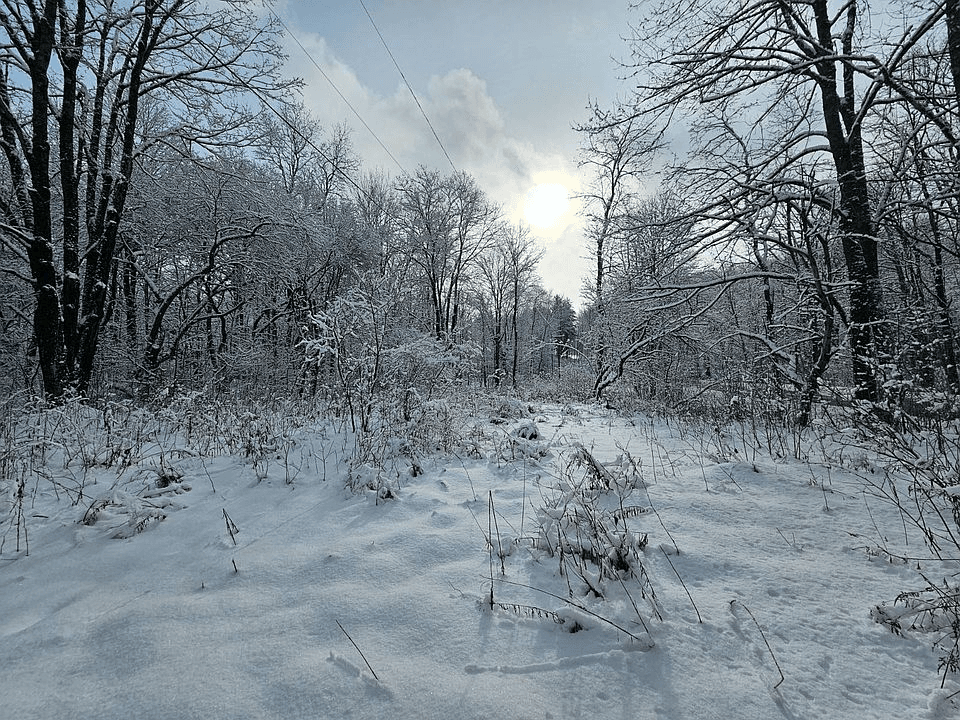 Beartown ski resort