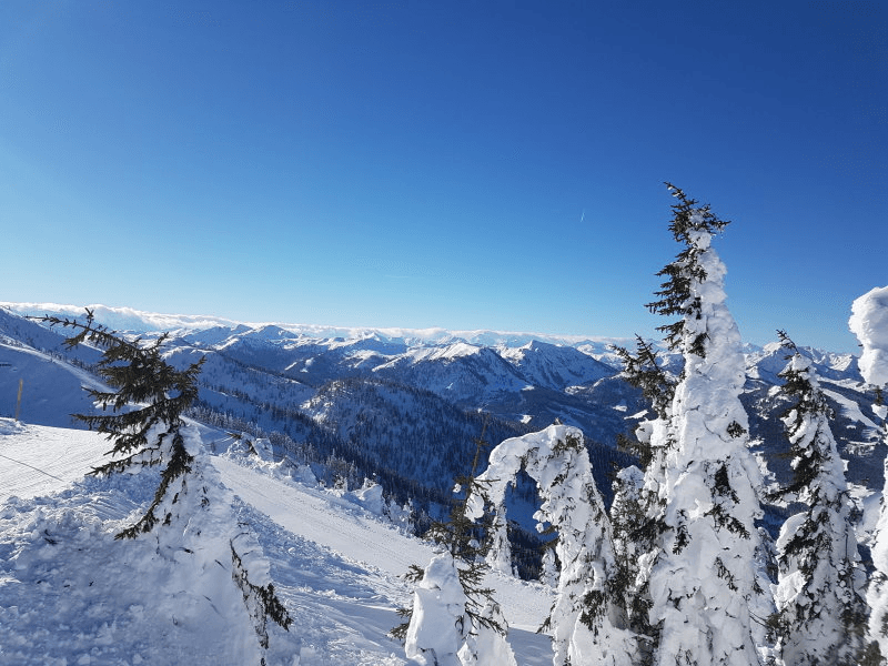 Wolfsberg (Gărâna) ski resort