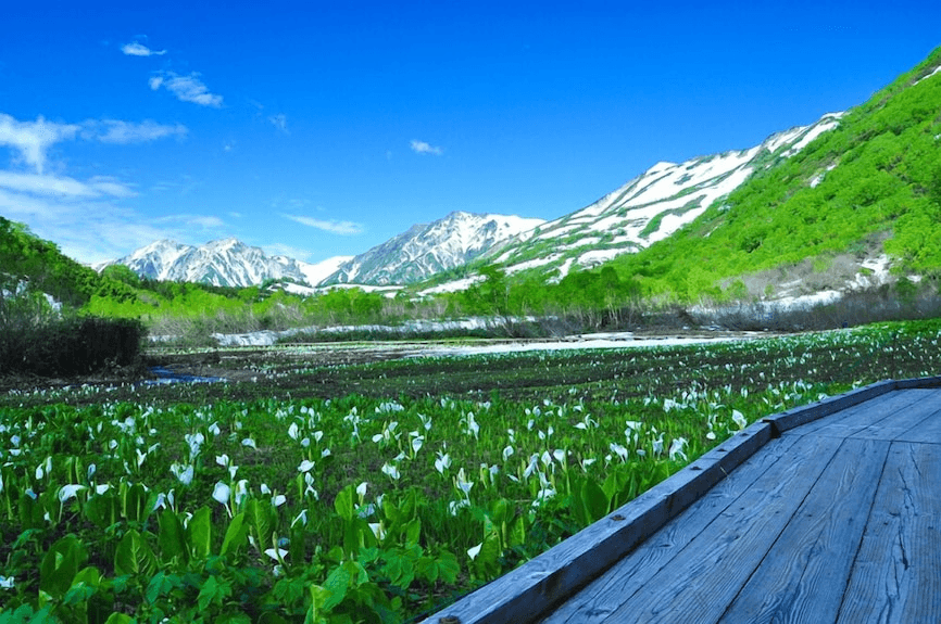 Asama 2000 Park ski resort