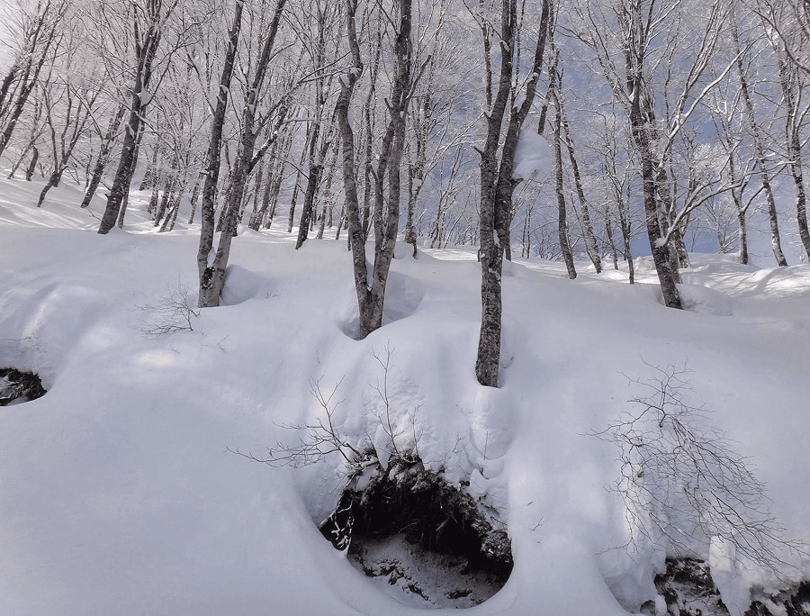 Shirakaba Kogen ski resort