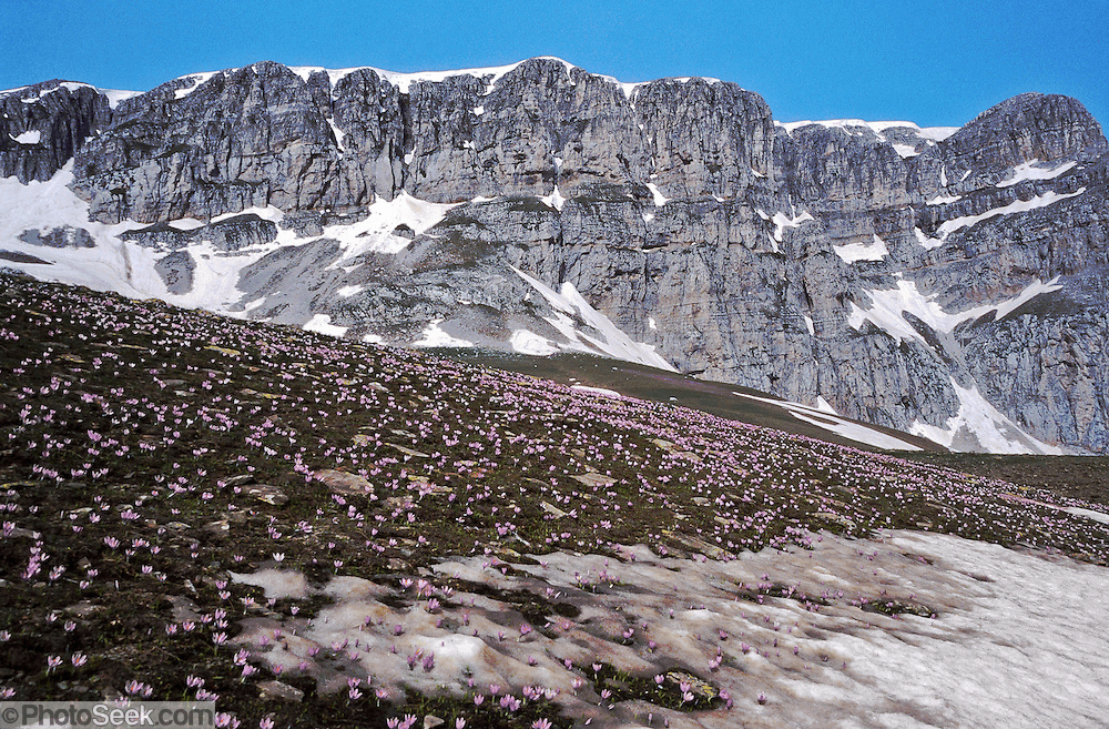 Greek Peak ski resort