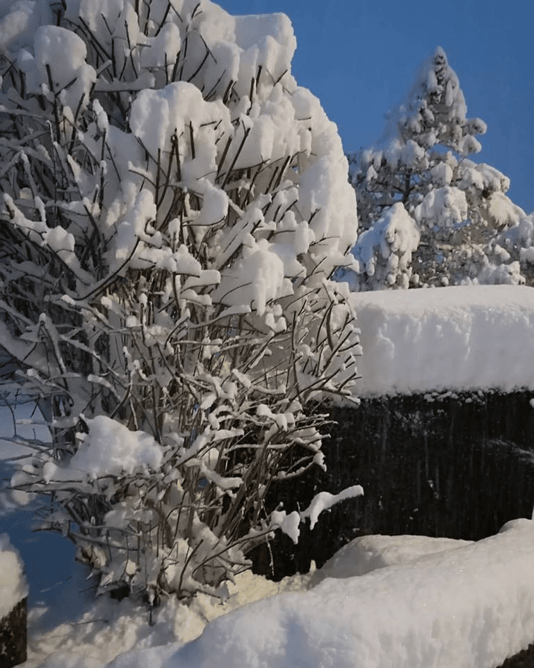 Les Marécottes (Salvan) ski resort