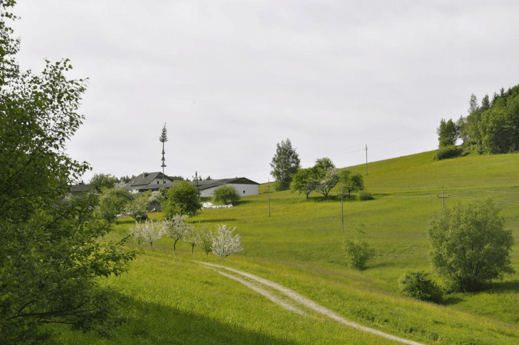 Schorschi-Lifte – St. Georgen am Walde ski resort