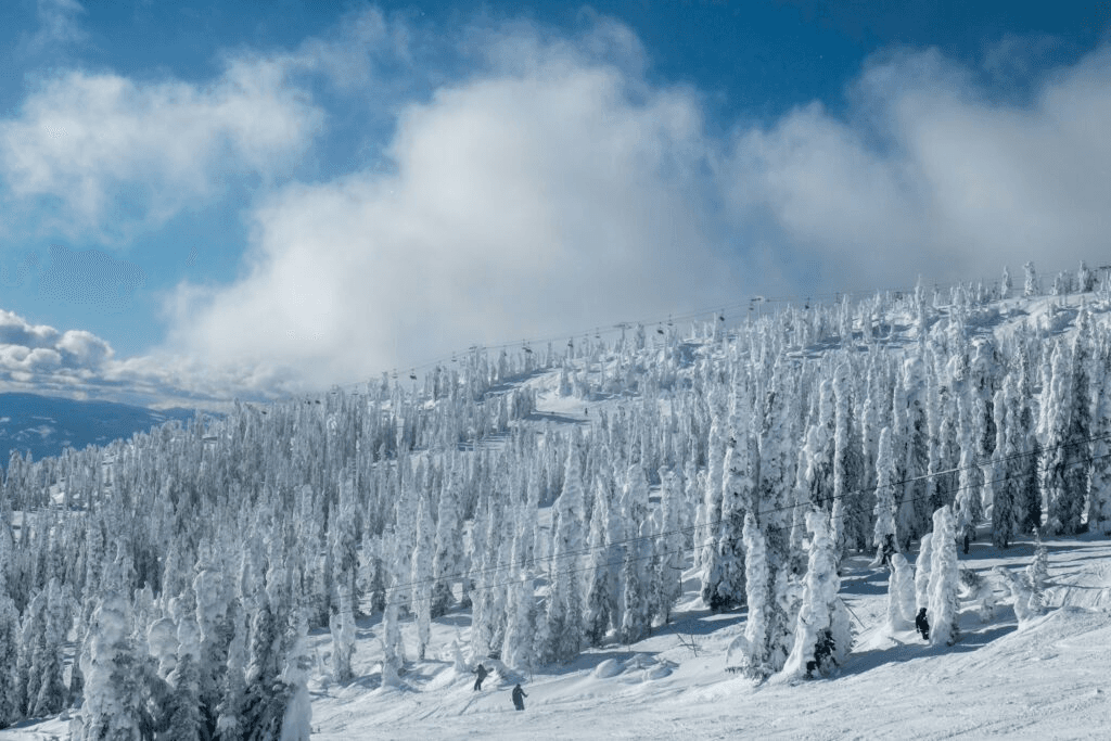Big Creek Ski Area ski resort