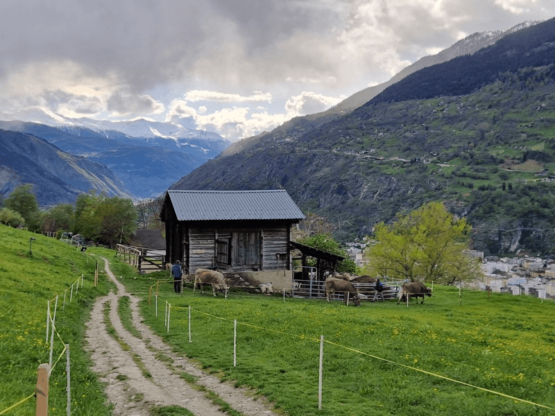 Rothwald/​Wasenalp (Simplon Pass) ski resort