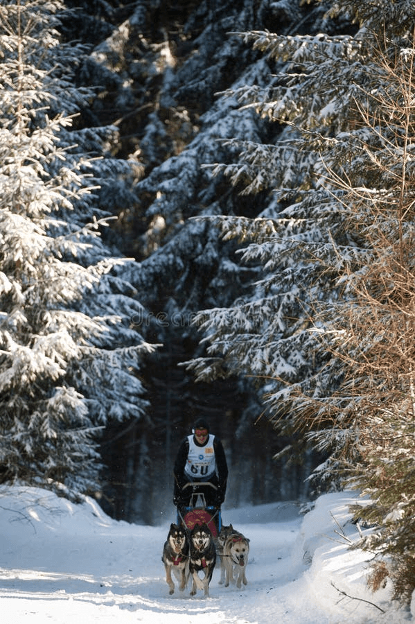 Synevir ski resort