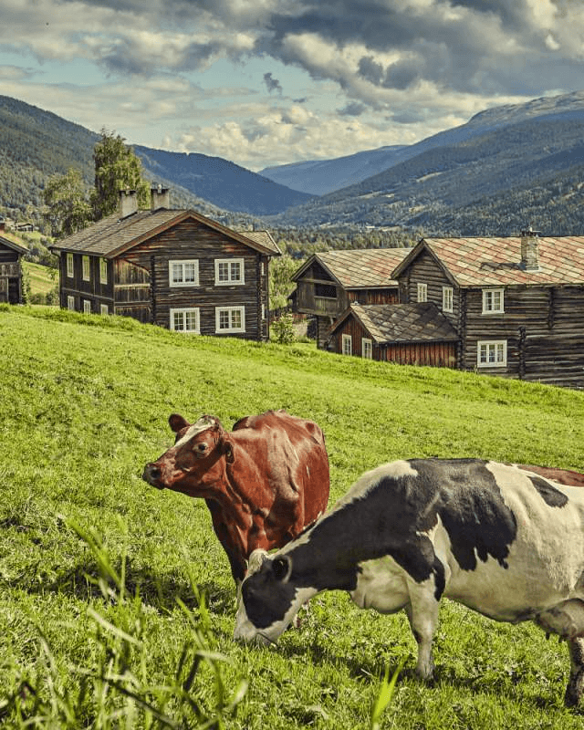 Venabygdsfjellet ski resort