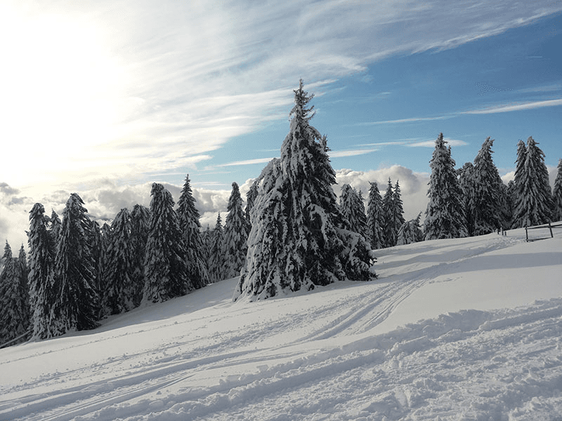 Monte Verena – Mezzaselva di Roana ski resort