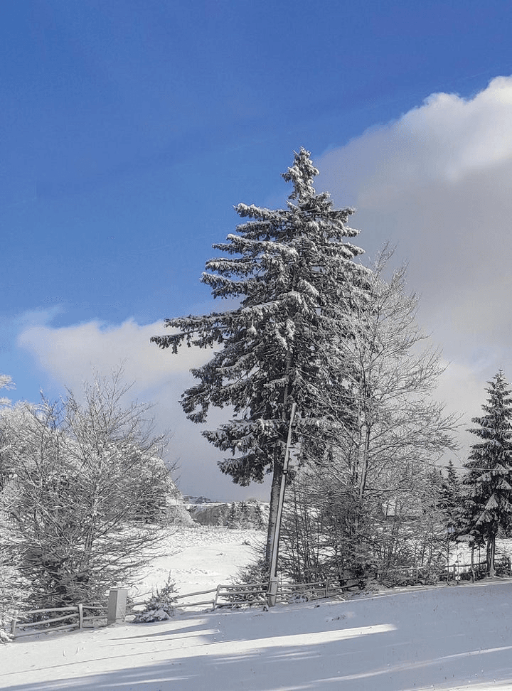 Malo Polje – Igman ski resort