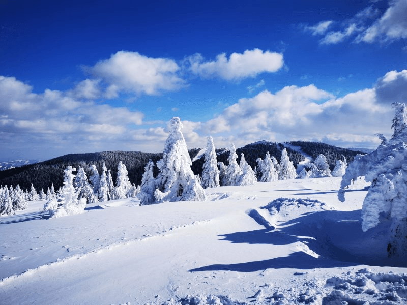Veresvirág ski resort