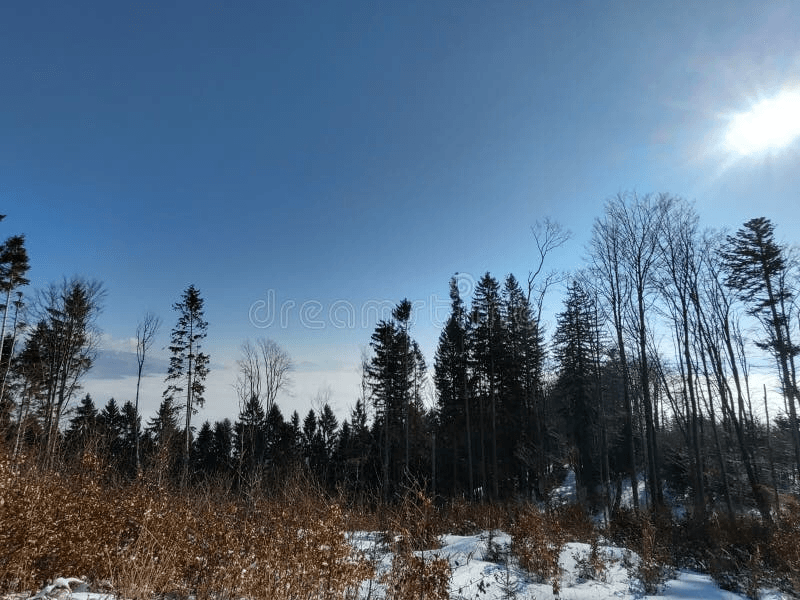 Veľká Rača ski resort