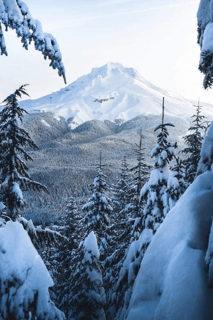 Vatra Dornei ski resort