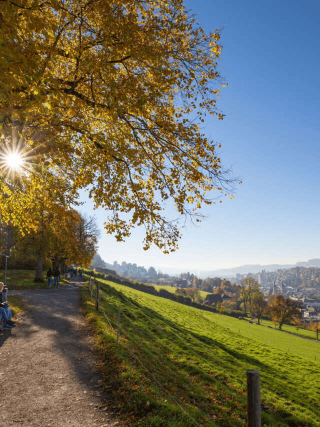 Beckenhalde – St. Gallen ski resort