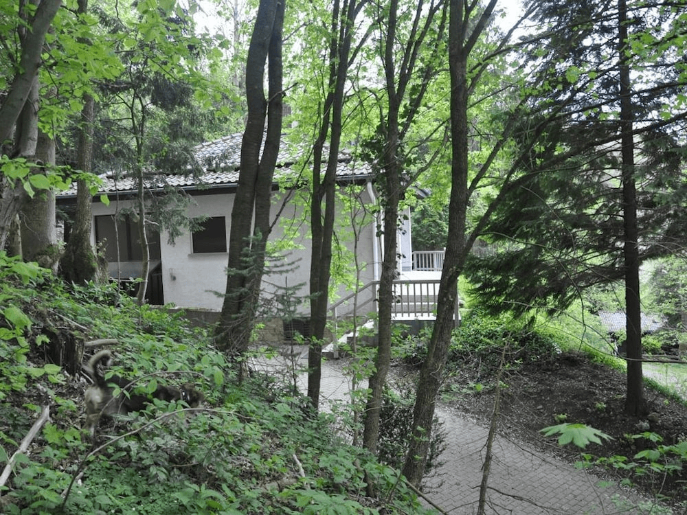 Buchschirmhang – Hilders ski resort
