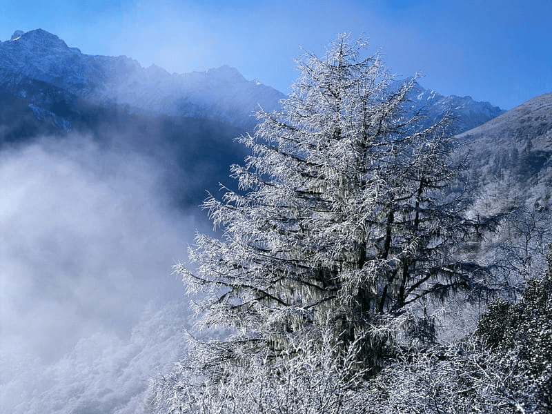 Puerto Navacerrada ski resort