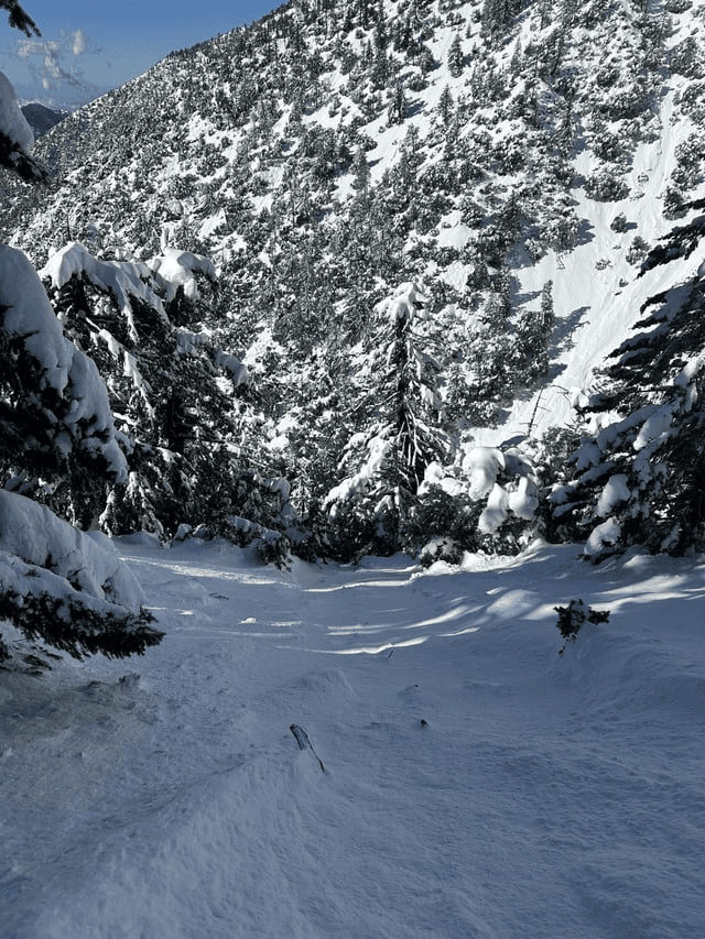 Baldy Mountain Resort ski resort