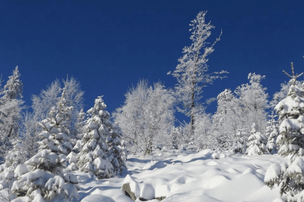 Větrný vrch – Dolní Morava ski resort