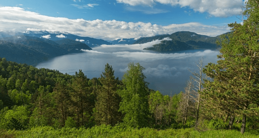 Biryuzovaya Katun ski resort