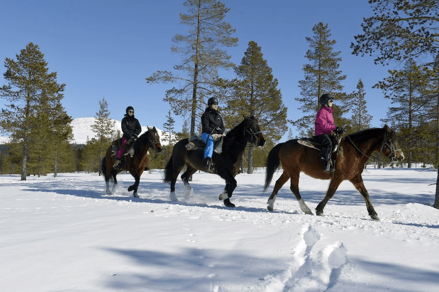 Fjätervålen ski resort
