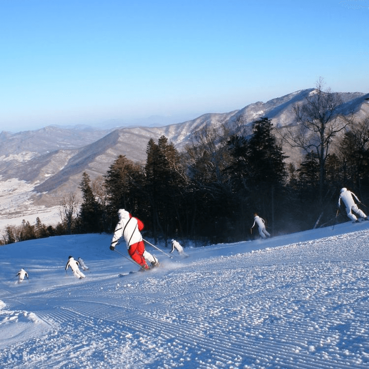 Niyama Kogen ski resort